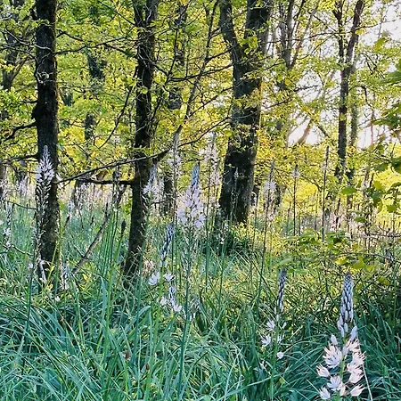 De L'etang Vieux *